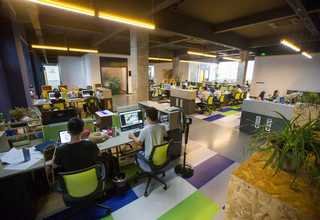 广西常见林业虫害防治多少钱一平方